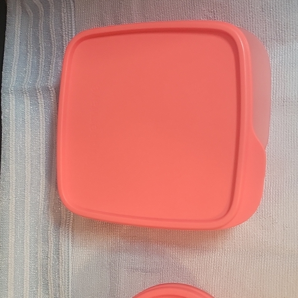 Tupperware LunchIt 3 Pc Set RHUBARB IS ONLY COLOR LEFT - Picture 6 of 10